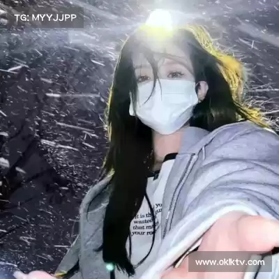 何鹰辉